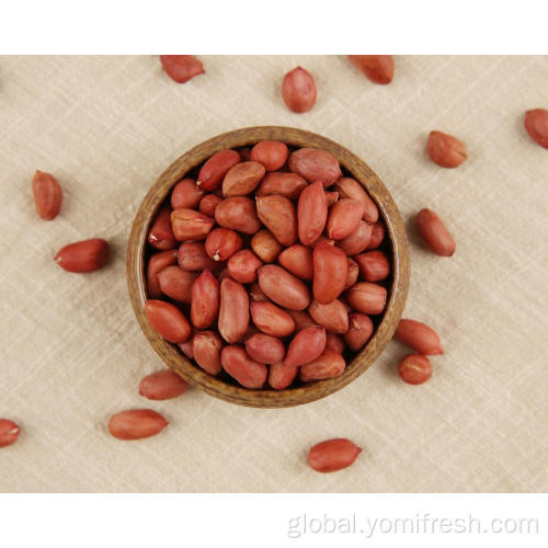 China Peanut Vs Groundnut Supplier